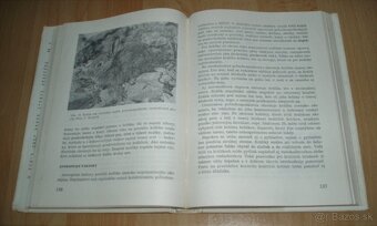 Zajac a králik - 15