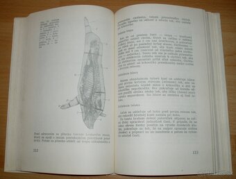 Domáca zakáľačka - 15