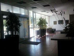 Kancelárie, Drieňová ul., Ružinov, 2 x 12,5 m2 a 1 x 25 m2 - 15