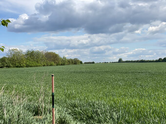 Pozemky v krásnom prostredí v Chorvátskom Grobe za priaznivú - 15