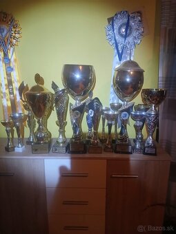 Rottweiler, rotvajler, rottwailer, rtw - 15