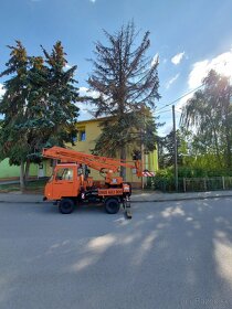 Pílenie a Orezávanie stromov - 15