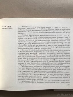 Dejiny fotografie, Bratislavská mincovňa, Dunaj, Dojč, Závod - 15