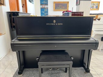 Steinway &Sons se zárukou 2 roky, doprava zdarma. - 15
