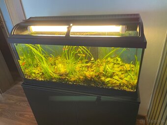 Predám kompletne zariadené 100 litrové akvárium - 15