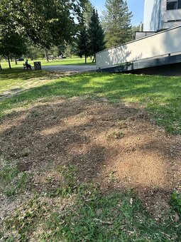 Profesionálne frézovanie a likvidácia pňov – rýchlo, bezpečn - 15