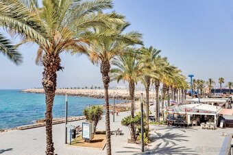 Španělsko – Torrevieja, Parque de las Naciones - 15