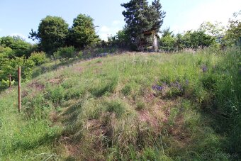 BRANDreal – Pozemok, 871 m², Piešťany - 15