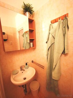 1izb. byt 38m v tom loggia 7m, Karloveská ul.,4/7p., pivnica - 15