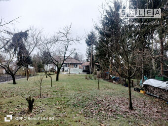 Výrazne znížená cena....Jedinečný rodinný dom v Šali/Veči - 15