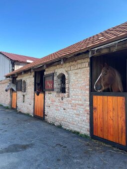 RANČ s haciendou, stajňami, 16.000m2 v blízkosti Lučenca - 15