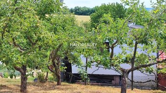 HALO reality - Predaj, záhradná chata Lučenec, Havašova samo - 15