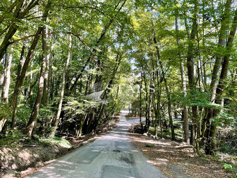 Oáza pokoja pri Kučišdorfskej doline -ZNÍŽENÁ CENA - 15