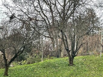 4 - IZBOVÝ PRIESTRANNY BYT NITRA ČERMÁŇ, ZAHRADA, GARAZ - 15