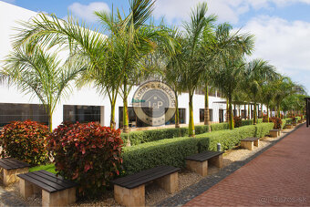 Apartmány a vily MELIÃ Dunas Beach Resort & Spa, ostrov Sal, - 15