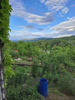 Záhrada s podpivničenou chatkou - 15