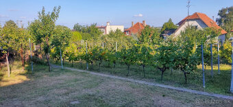 Exkluzívny moderný rodinný dom predaj Nitrianske Hrnčiarovce - 15