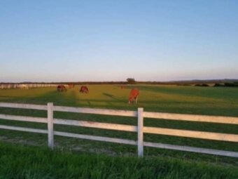 JEDINEČNÁ JAZDECKÁ FARMA V ÚPLNOM SÚKROMÍ - 15