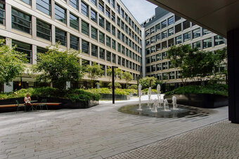 Prenájom obchodného priestoru 333 m² v skvelej lokalite v ce - 15