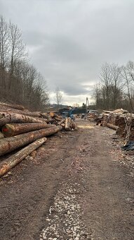 Drevený sindel - 15