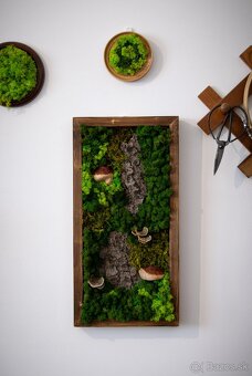 🌿 Machové obrazy na mieru – príroda vo vašom interiéri - 15