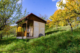 SABINOV-pozemok s domom a potenciálom – 3177 m² - 15