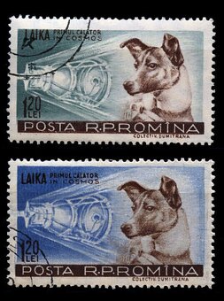 Poštové známky Rumunsko - Kozmos - 15