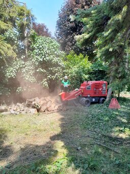 🌳 Arboristické služby od certifikovaných odborníkov 🌳 - 15