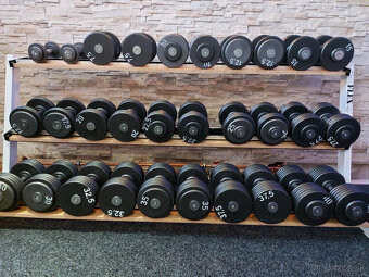 Pevné profi jednoruční činky 2,5 - 100kg - 15
