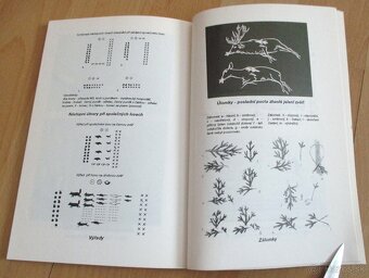 Tradice v myslivosti - 15