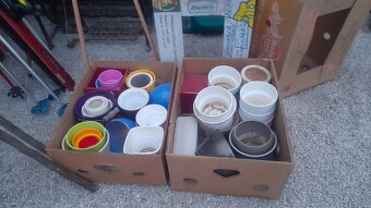 Terakotové kvetináče 10eur, 15eur /kus, veĺké plastové 15eur - 15