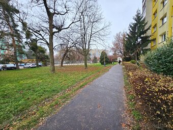 Prenájom 4 izbový byt Terasa, Trieda SNP - Košice - 15