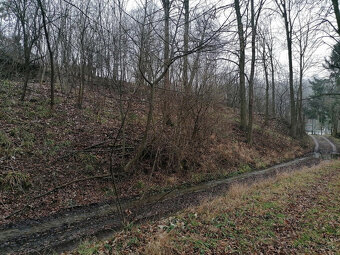 STAVEBNÝ POZEMOK PRI POTOKU 1963 m2 BRESTOVEC okres MYJAVA - 15