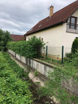 cistenie pozemkov , kosenie - 15