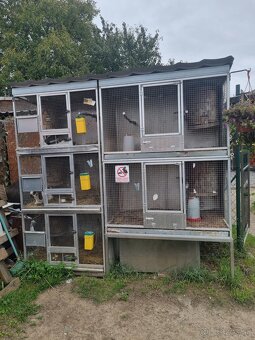 Hlinikové voliéry,klietky pre papagáje - 15