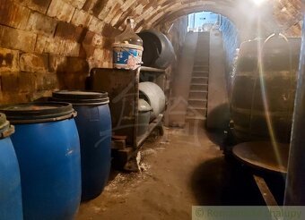 Poschodová chatka s vinohradom v malebnej dedinke Modrany - 15