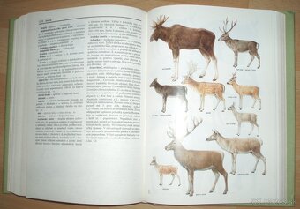 Poľovnícky náučný slovník - 15