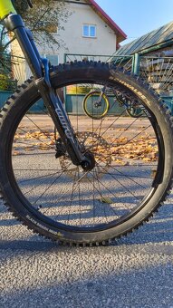 Kellys whip 10 2018 - 15