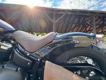 HARLEY DAVIDSON SOFTAIL CUSTOM - 15