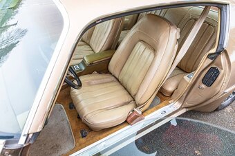 Pontiac Firebird  1977 - 15