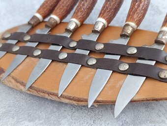 6 x malé nožíky v řadě na dřevéné podložce z břízy. - 15