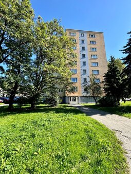 3 izbový Byt s Loggiou - 15