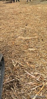 Čistenie pozemkov od naletovych drevín lesná fréza - 15