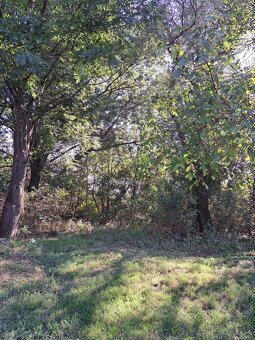 PinkyReal – ponúka investičný pozemok s rozlohou 5922 m2 - 15
