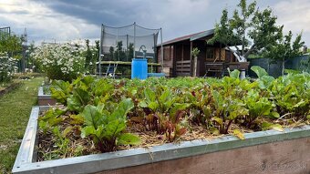 Záhrada s chatkou a studňou – Žabí majer - 15