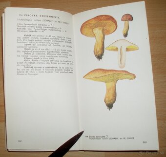 Naše huby - 15