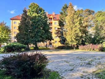 1.5-room apartment after complete renovation – Jesenná St. - 15