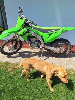 Kawasaki KX 450 CROSS COUNTRY - 15