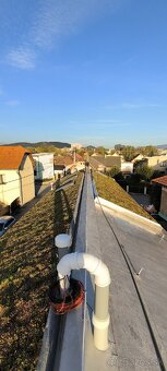 Záhrada zelená strecha rizikové rezanie stromov - 15