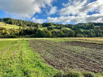 Na predaj pozemok Veľká Franková, vhodný na RD alebo chaty. - 15